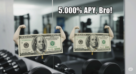 Best High Yield Savings Accounts 2025 USA